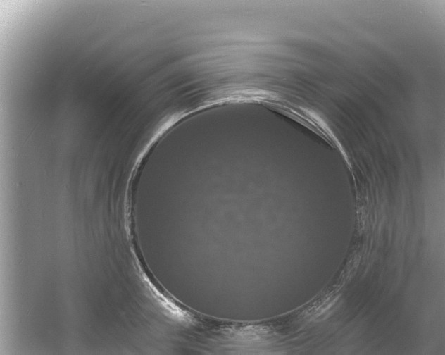 X0000060790851200511141442