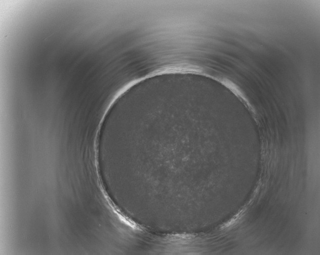 X0000060790854200511141442