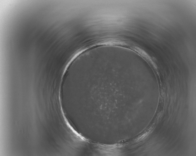 X0000060790855200511141442