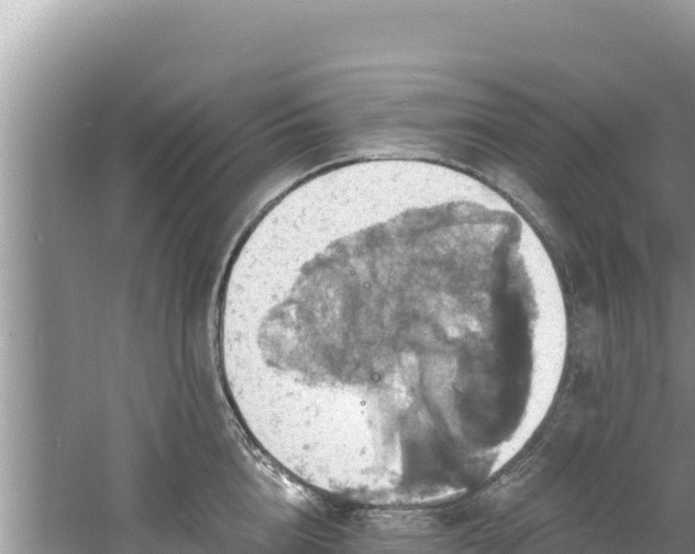 X0000060790856200511141442