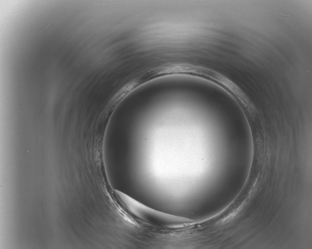 X0000060790857200511141442