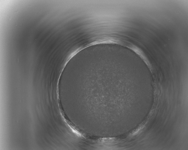 X0000060790858200511141442