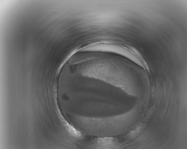 X0000060790859200511141442