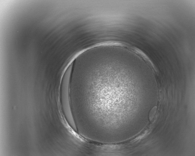 X0000060790860200511141442