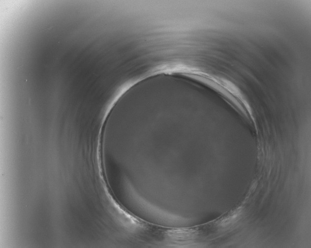 X0000060790863200511141442