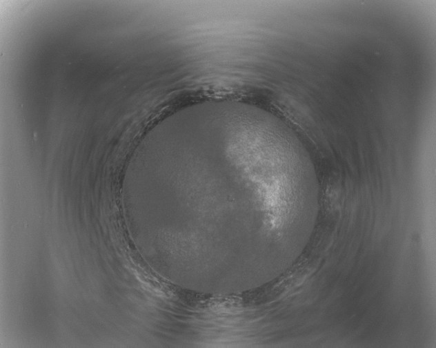 X0000060790865200511141441