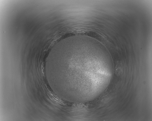 X0000060790866200511141441