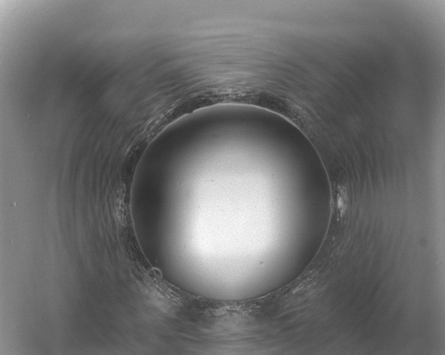 X0000060790867200511141441