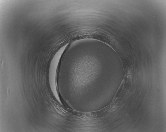 X0000060790868200511141441