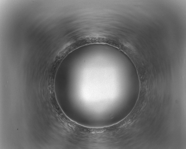 X0000060790870200511141441