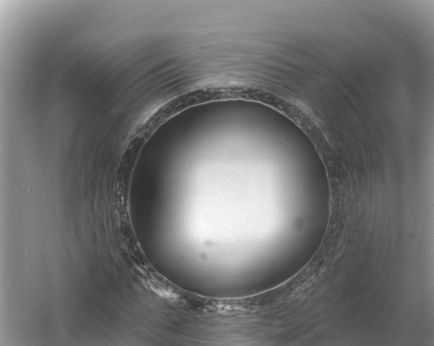 X0000060790871200511141441