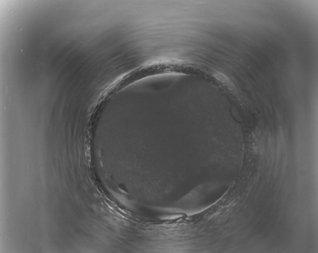 X0000060790872200511141441