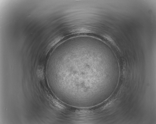 X0000060790873200511141441