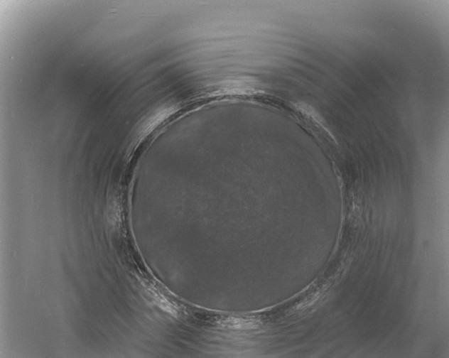 X0000060790874200511141441