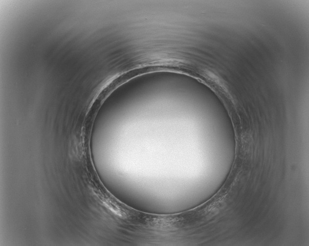 X0000060790875200511141441