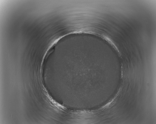 X0000060790876200511141441