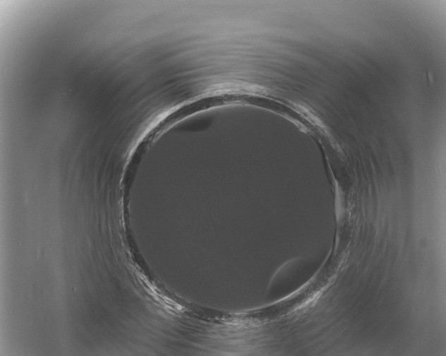 X0000060790877200511141441