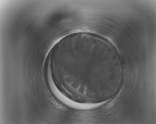 X0000060790879200511141441