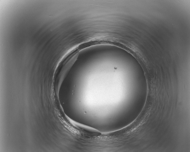 X0000060790880200511141441