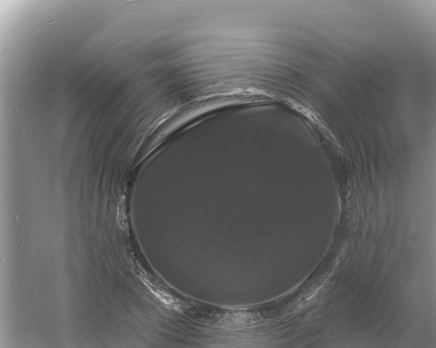 X0000060790881200511141441