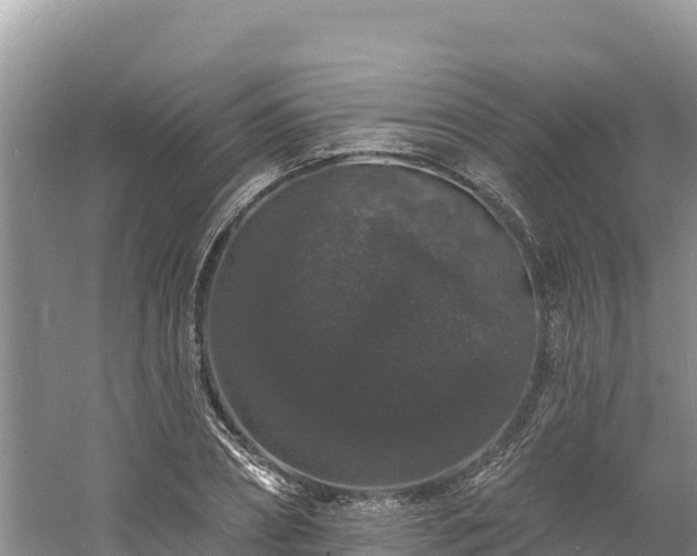 X0000060790882200511141441