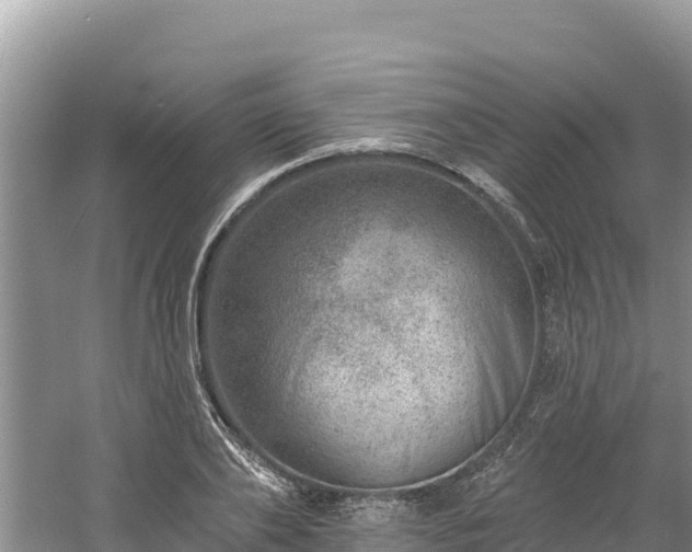 X0000060790886200511141441