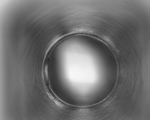 X0000060790888200511141441