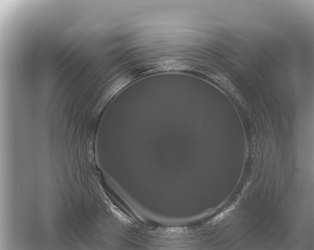 X0000060790889200511141441