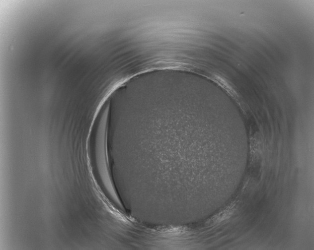 X0000060790891200511141441