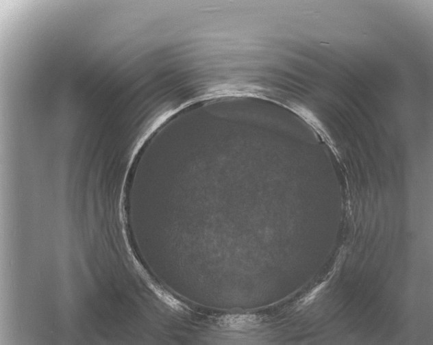 X0000060790893200511141441