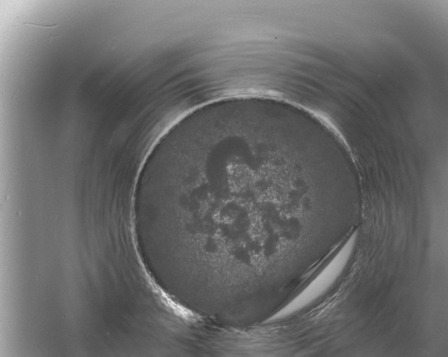 X0000060790895200511141441