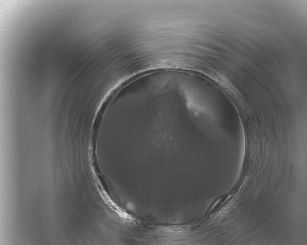 X0000060790896200511141441