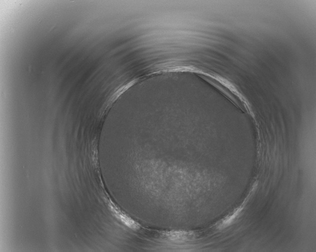 X0000060790897200511141440