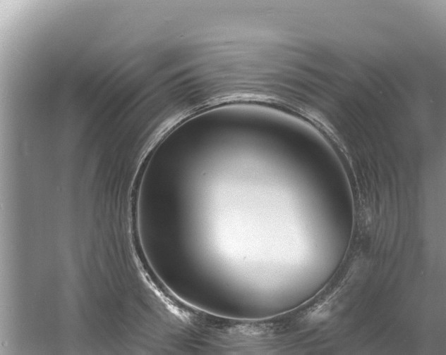 X0000060790898200511141440