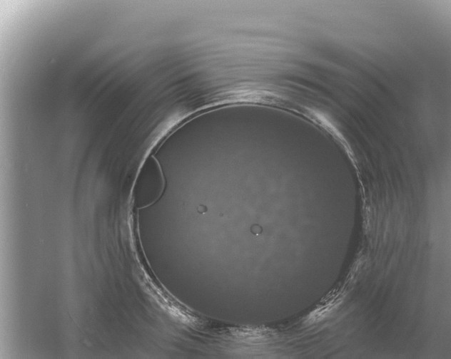 X0000060790899200511141440