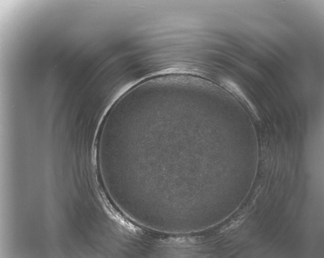 X0000060790900200511141440