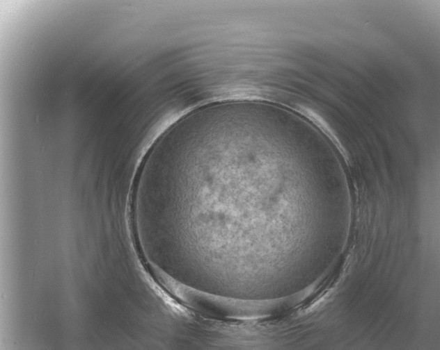 X0000060790901200511141440