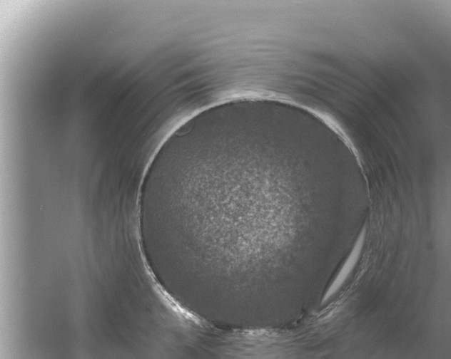 X0000060790903200511141440