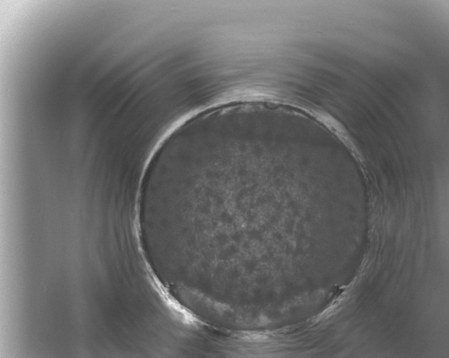 X0000060790904200511141440