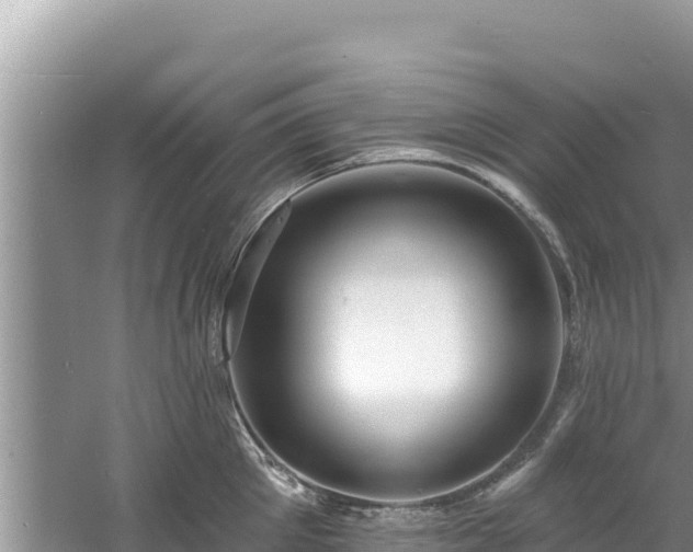 X0000060790905200511141440