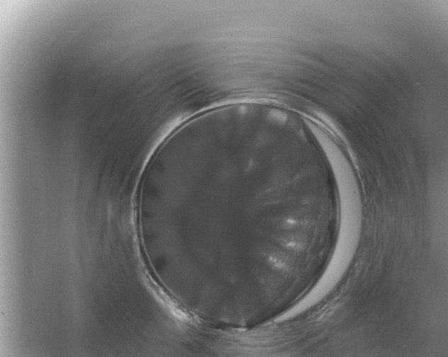 X0000060790907200511141440