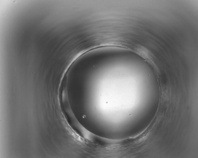 X0000060790908200511141440