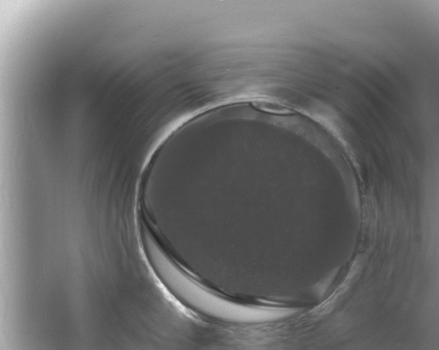 X0000060790910200511141440