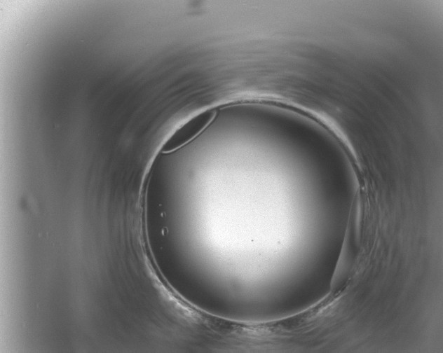 X0000060790911200511141440