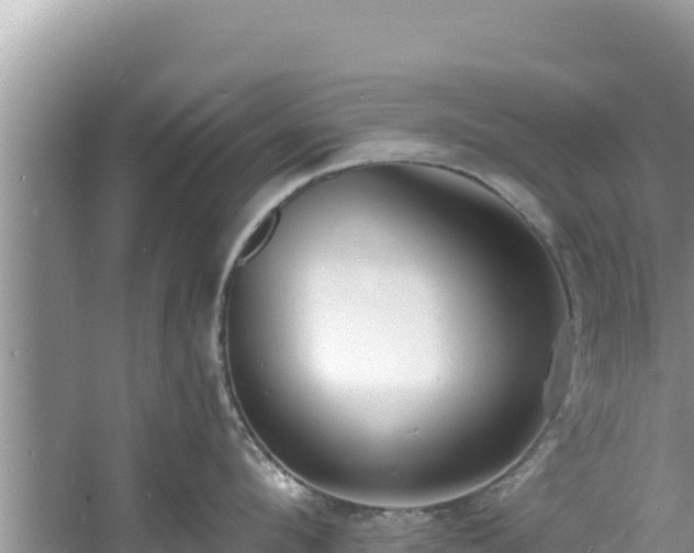 X0000060790912200511141440