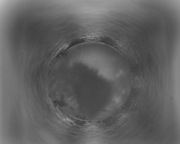 X0000060790913200511141439