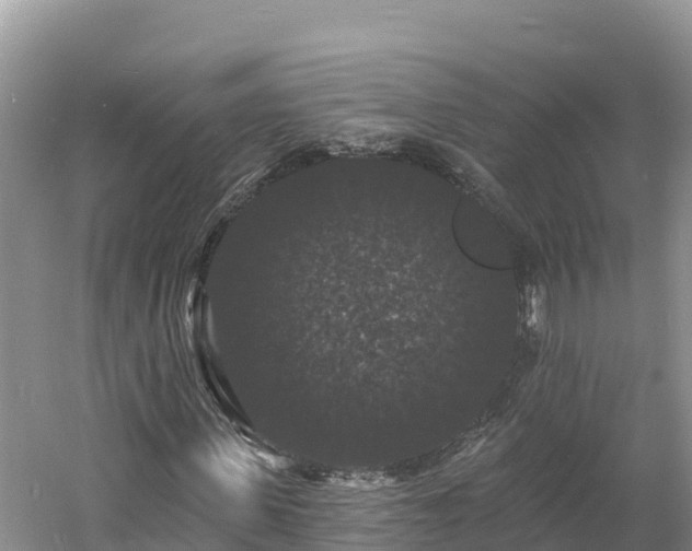 X0000060790915200511141439