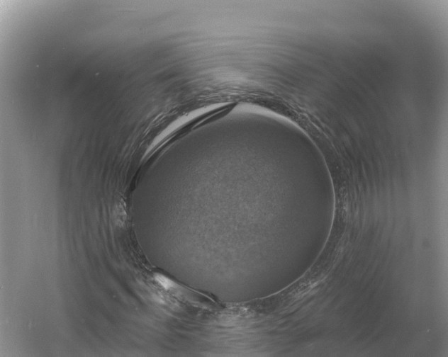 X0000060790916200511141439