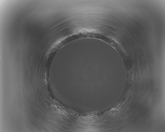 X0000060790919200511141439