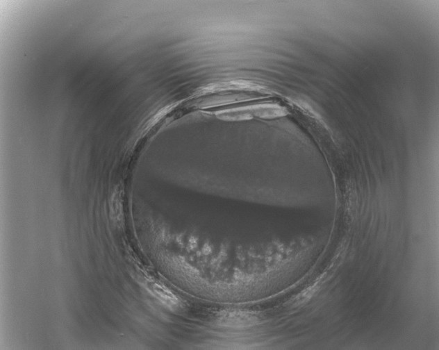 X0000060790921200511141439